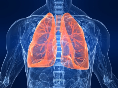 World Lung Day: Risks to Nonsmokers as well