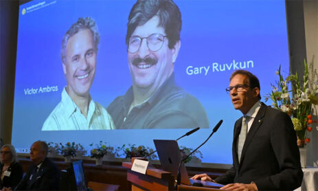 Microrna Discovery Receives Nobel Prize In Medicine