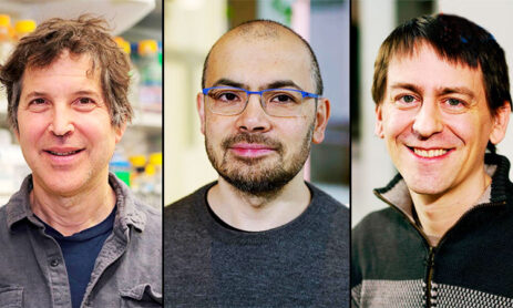 The Creators of AI tools for Proteins Win a Nobel Prize in Chemistry