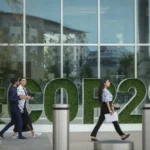 COP29 looks to the G20 for a Successful Outcome