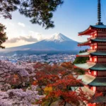 20260205103114 japan fuji cherry blossom