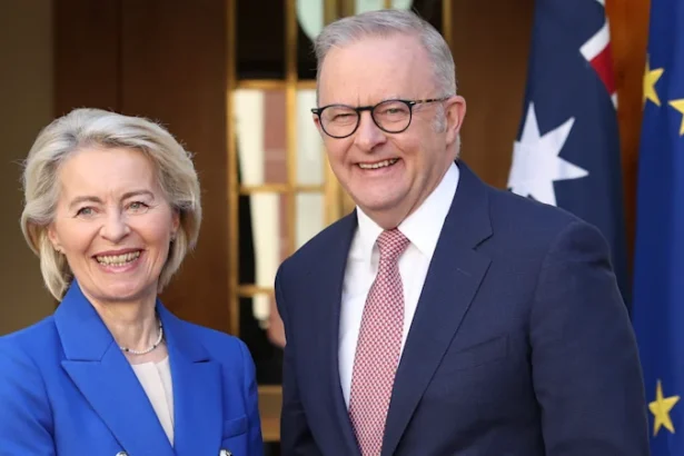 dd86ca51b1df2ca845c3a7b75801bc0ea12b22f9