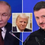 2545972 putin trump zelensky