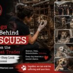 No Dogs Left Behind