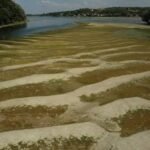 images 11